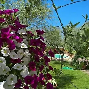 Agriturismo Le Dolci Colline D'abruzzo Alloggio per agriturismo
