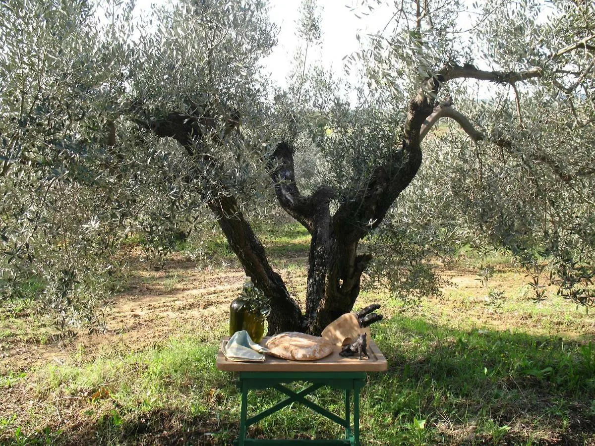 Agriturismo Le Cerbonche Rosignano Marittimo Country house